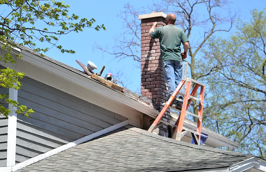 Chimney & Fireplace Inspections Services in Egypt Lake-Leto, FL